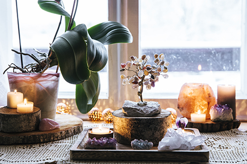 Candles pot plants and bonzai tree